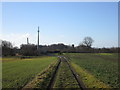 Mobile phone mast near New South Farm