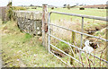 Bridge and gate, Killinure, Carryduff (February 2015)