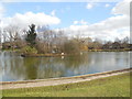 Common Pond, Hailsham