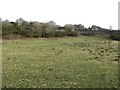 Grass field south of Lucker