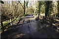 Byway heading for Reading Road in Roundwood Copse