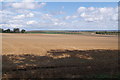 Harvested fields - Hill Farm