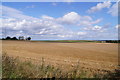 Harvested fields - Hill Farm