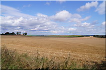 TL5054 : Harvested fields - Hill Farm by Mr Ignavy