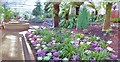 Queen Elizabeth Temperate House, Savill Garden