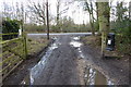 Footpath from the north arrives at Kings Road