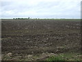 Flat farmland off the A153