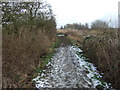 TA0944 : Icy path beside the Leven Canal by JThomas