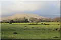 Fields near Elmridge