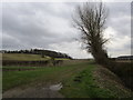 Hare Hill and bridleway to Kersall