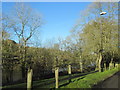 Glimpse of the River Severn From The Lloyds Ironbridge