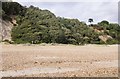 Vegetated cliffs - Highcliffe