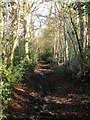 Footpath to Copyhold Lane