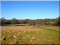 North Meadow/Eleven Acres/Spring Plot/Sign Hand