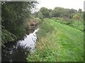 River Cray near Crayford (3)