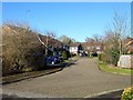 Mill Stream Meadow, Haywards Heath