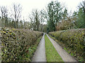 Track north of Tan Pit Wood, Winstanley