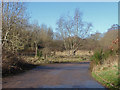 Scrubland by the Blackwater River