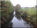 The River Exe at Tiverton