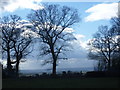 Wintry view over The Weald