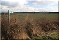 Footpath to Cowlinge