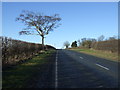 A614 towards Driffield