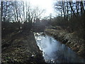 Lowthorpe Beck, Bracey Bridge