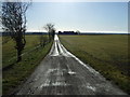 Track to Airy Hill Farm