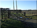 Field entrance off the A614