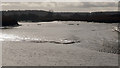 Tidal bore, Cree estuary