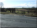 Field entrance off the A166