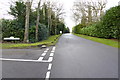 West Drive looking from the western end of loop