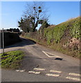 Lane to Netherton and Netherton Farm