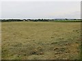 SD5311 : Haymaking, Tunley Moss by Richard Webb