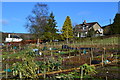 Rural allotments