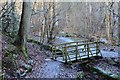 Footbridge over mill lade, Aberfeldy