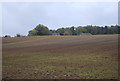 Farmland south of Grundisburgh