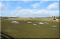 Puddles in field near Downs Link