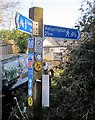 Footpath signpost, Totnes