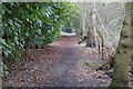 Footpath reaches Callow Hill from the west