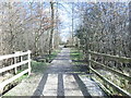 Entrance to Skelton Wood - from Naburn Approach