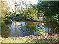 Part of the moat at Bygrave