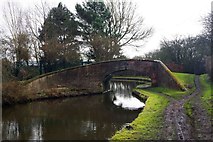 SO8687 : Flatheridge Bridge (No. 36), Staffs & Worcs Canal, near Ashwood, Staffs by P L Chadwick