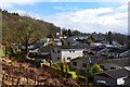 Houses below the woodland, Callander