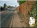 Milestone on the A7, south side of Longtown