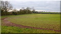 Corner of an arable field