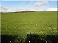 Skinboy Mountain Townland