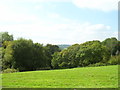 Countryside, Narberth