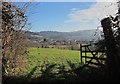 Through a gateway, Old Newton Road