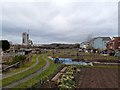 New Bilton Allotments